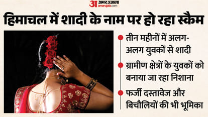 fake marriage racket three marriages in five months hamirpur bilaspur