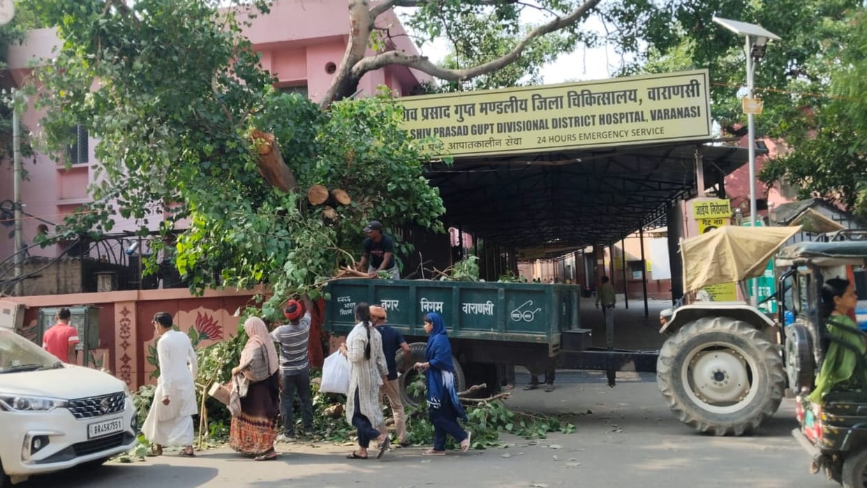 Varanasi Weather shifts due to gusty winds and light rain bringing relief from heat Peepal tree falls