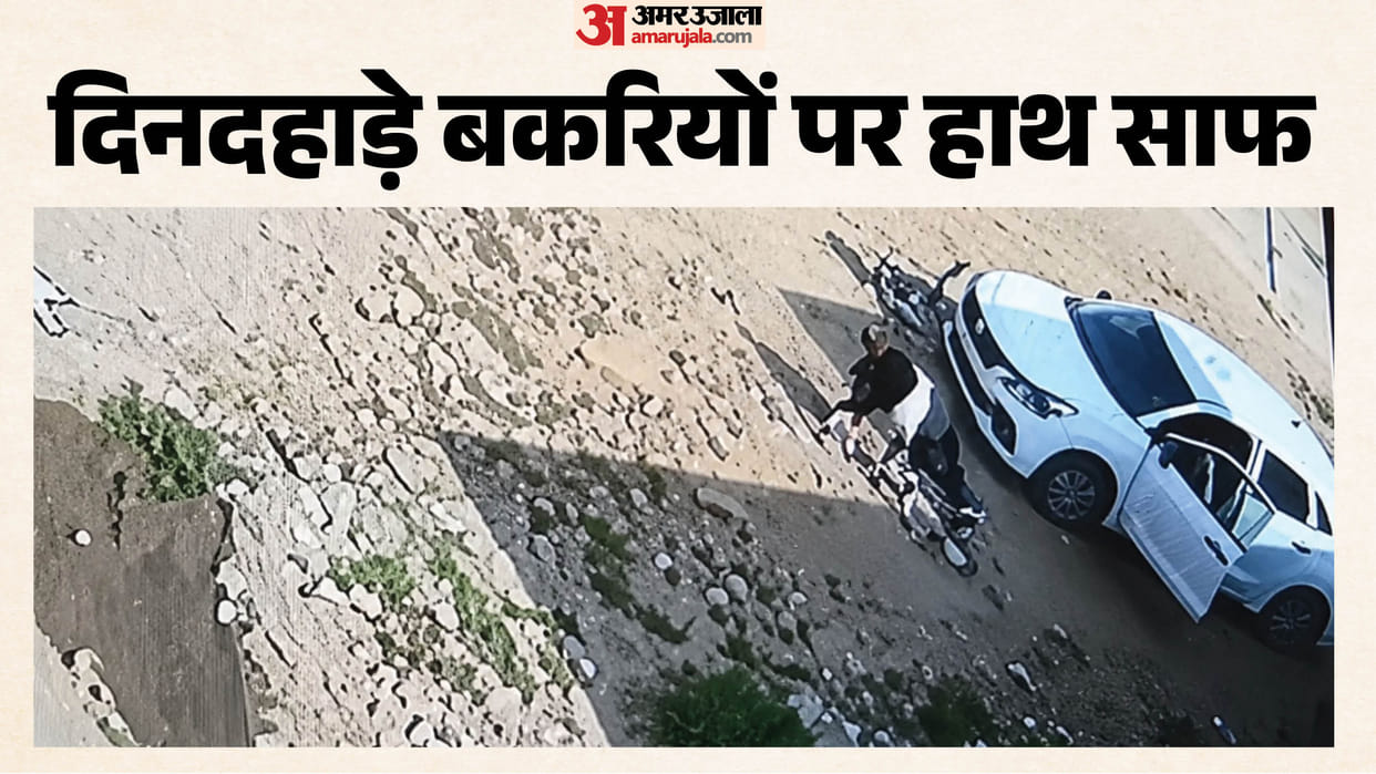 Thieves are coming by car in Sikar district and committing thefts