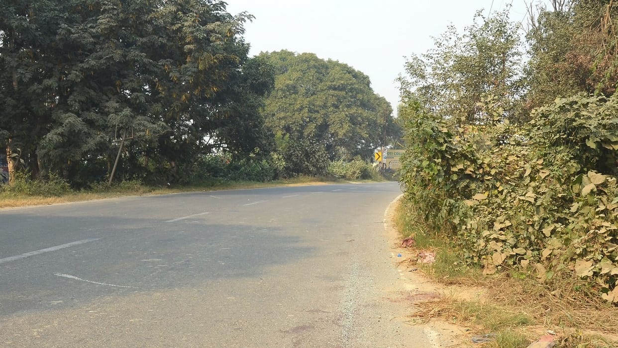 two thousand trees on Pilibhit Road to be relocated in Bareilly