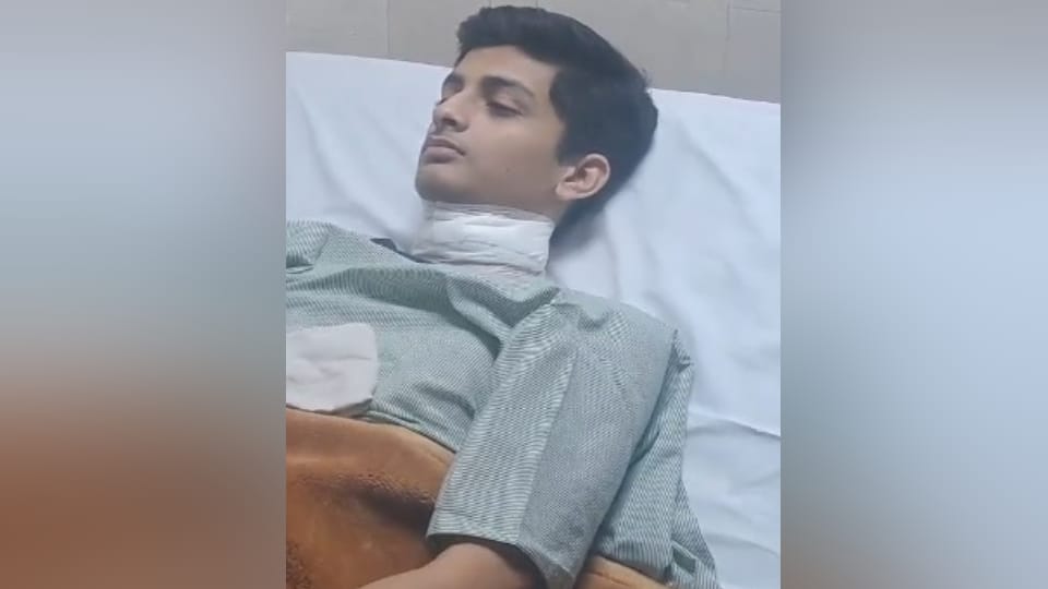 Meerut: Student on way to coaching class suffers neck laceration from banned kite string