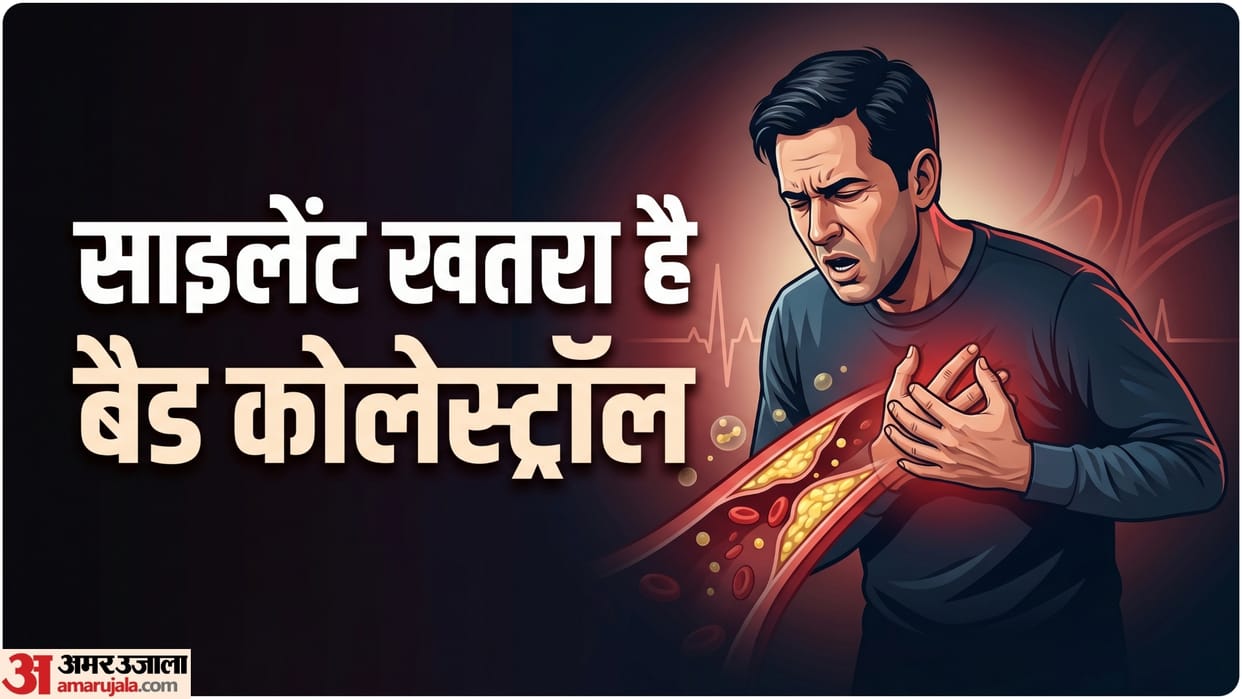 why ldl is known as bad cholesterol health risk what increases this