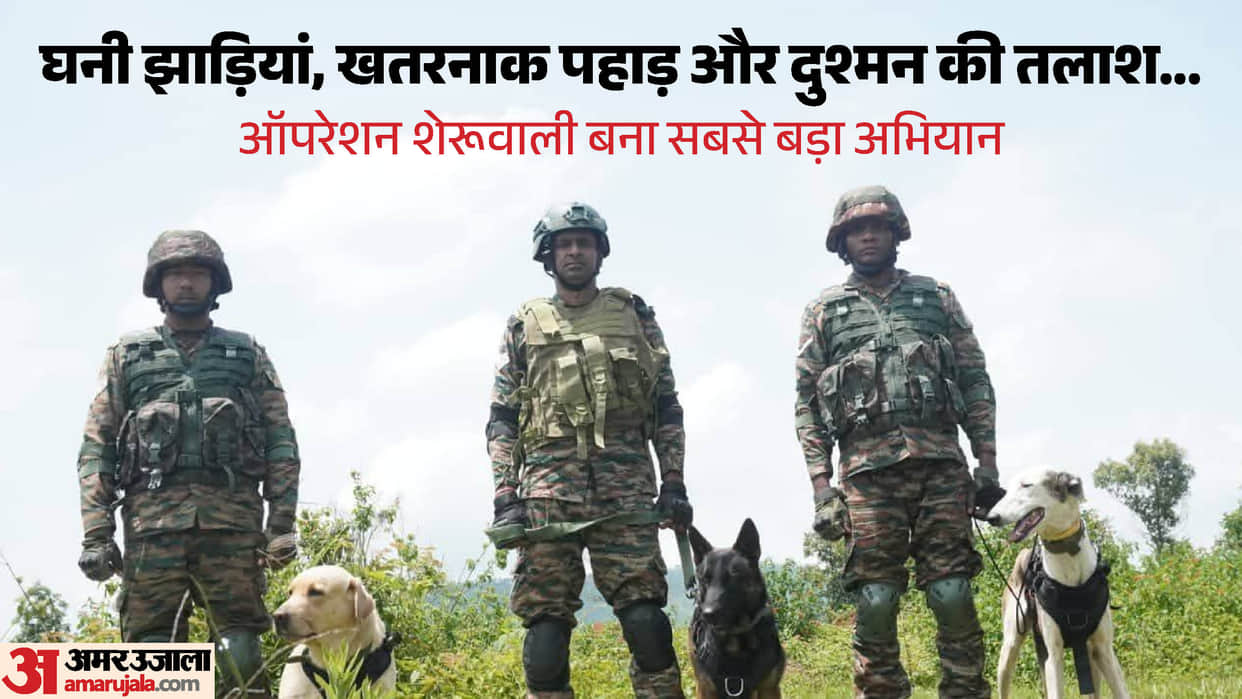 Operation Sheruwali' enters 37th day as security forces intensify search operations in Rajouri