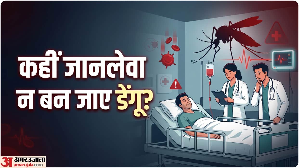 dengue malaria cases in delhi know what to do if you have dengue doctor advice