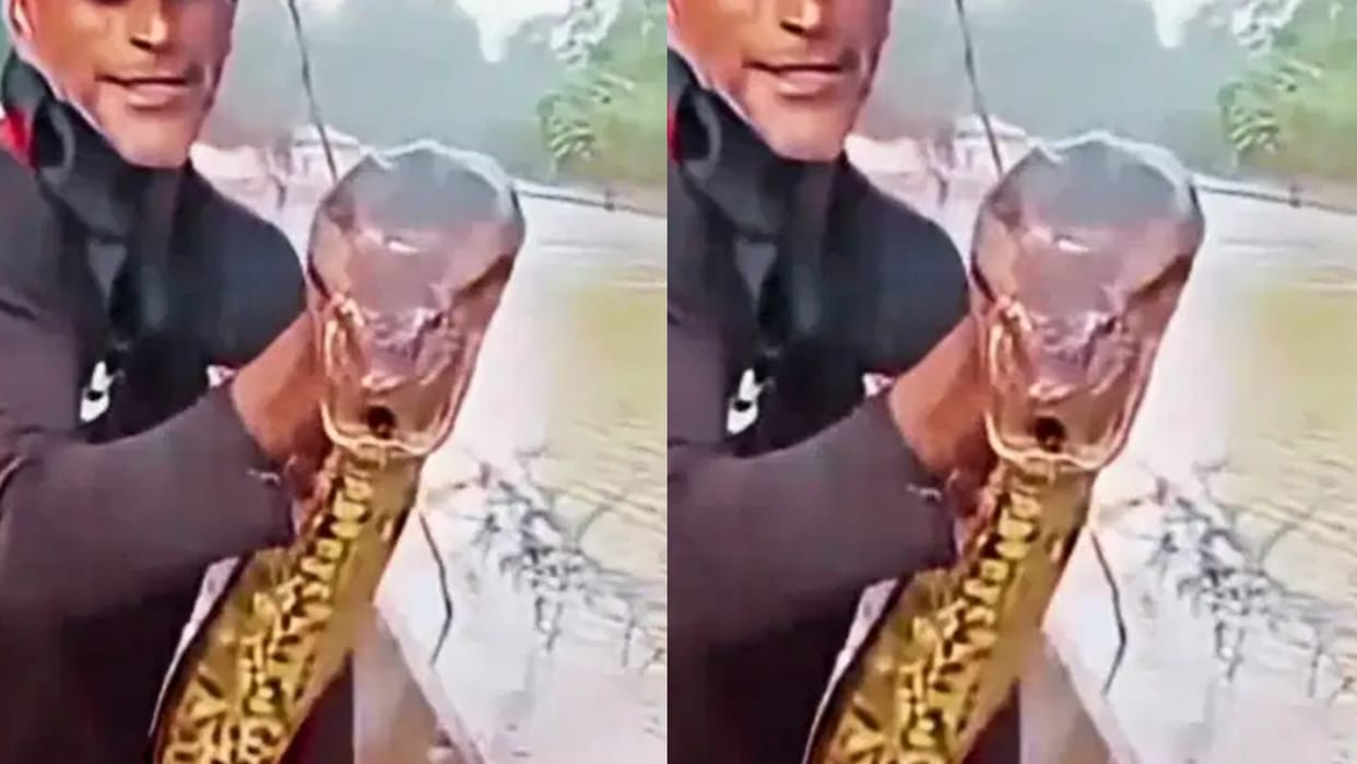 fisherman catches massive green anaconda amazon forest video goes viral