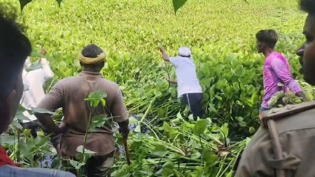 Lakhimpur Kheri: नाले में 12 साल के बालक को दबोच ले गया मगरमच्छ, 20 घंटे बाद भी नहीं चला पता, तलाश जारी