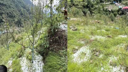 Himachal Weather: Heavy rain in Shimla, hailstorms in several areas; here is how long the rain will continue i