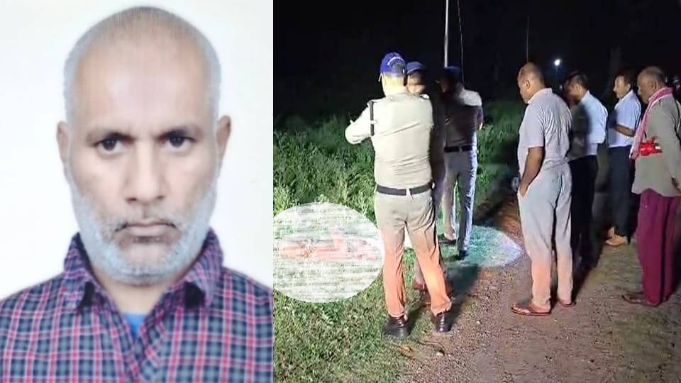 Bijnor: A herd of elephants trampled a passerby to death, crushing his face and scattering his body parts