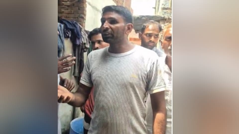Meerut: Livestock owner accidentally mixed urea into fodder; eight animals died, four critical