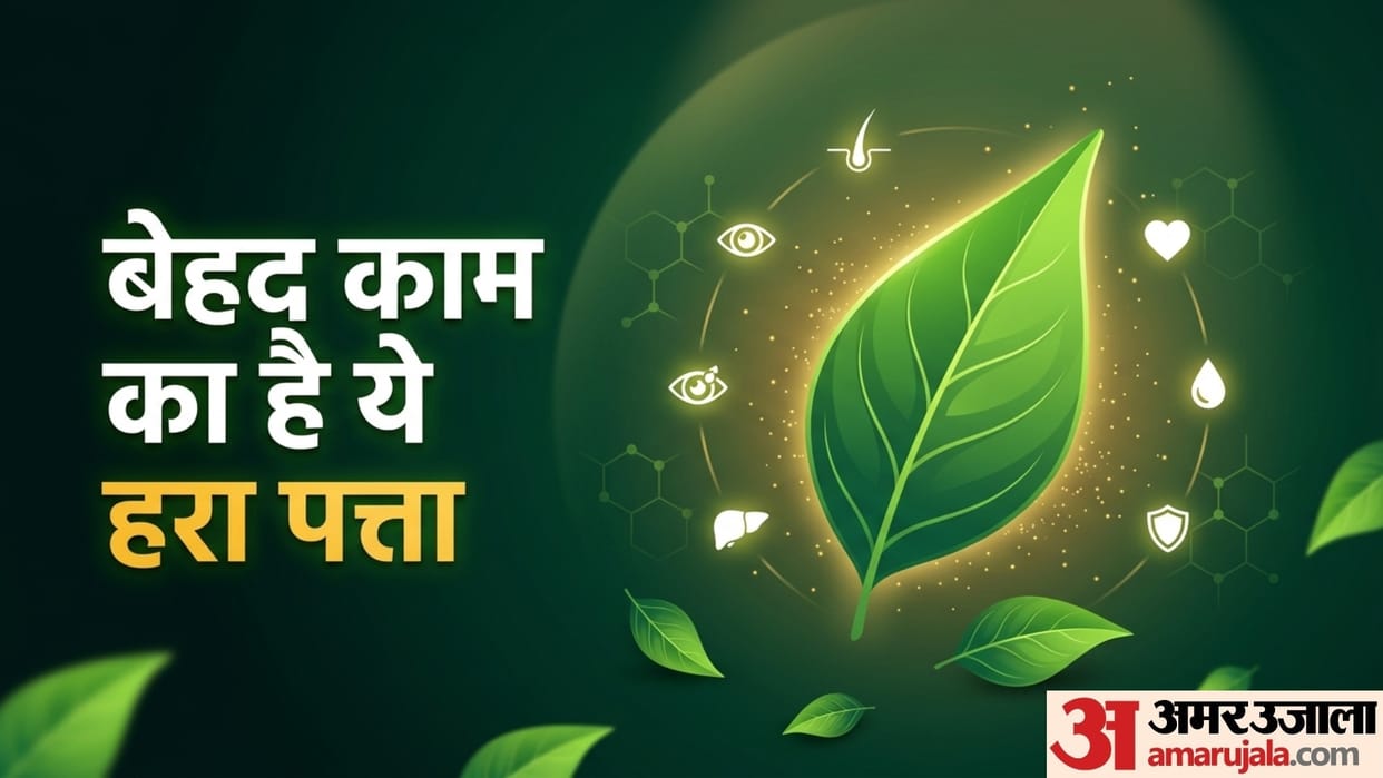 benefits of curry leaf in hindi how to use curry leaf for healthy life
