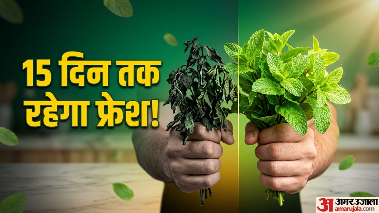 How To Store Mint Leaves In Summer Pudina Ko Fresh Kaise Rakhen