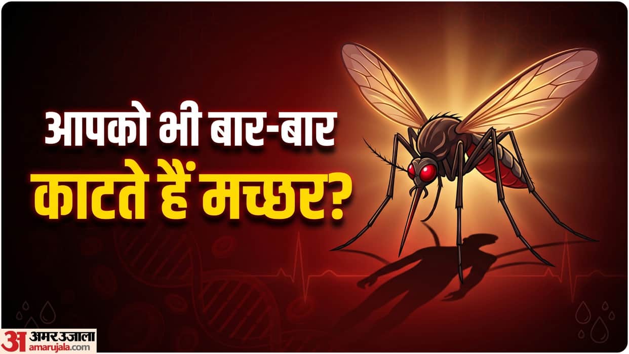 insecticides ineffective Super-mosquito from India wreaks havoc in African cities challenge is malaria