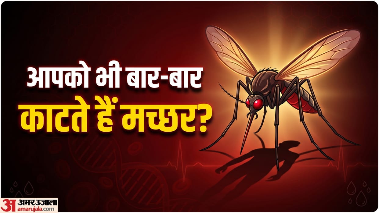 world dengue day 2026 why do mosquito bites some people more than others Body Odor and blood type