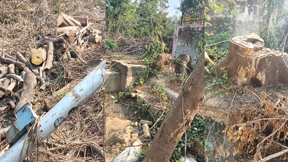 Kanpur: Action taken against three and notices issued to four regarding the felling of green trees at NSI