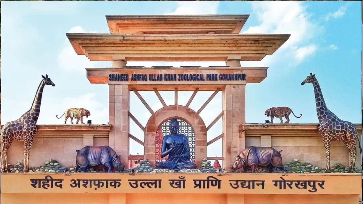 Fake tickets were being generated at Gorakhpur Zoo by altering the software.
