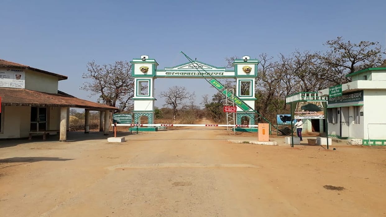 All tiger reserves and sanctuaries in Chhattisgarh closed from today, forest safaris banned till October 1