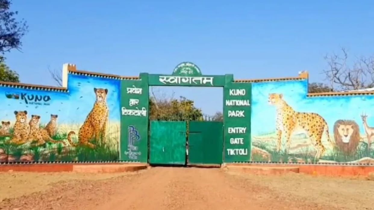 MP News: President to visit Kuno on June 21, stay overnight at sanctuary, security arrangements tightened