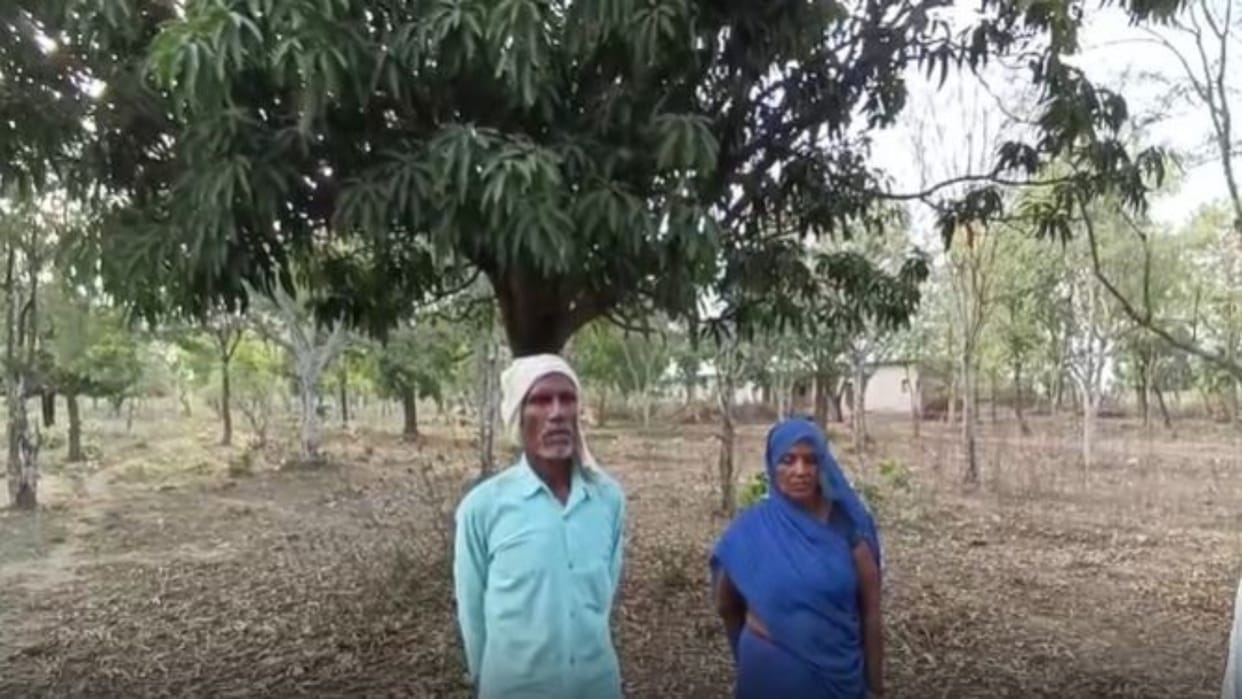Rewa News: Childless couple turned trees into family, created a 105-acre forest over 35 years