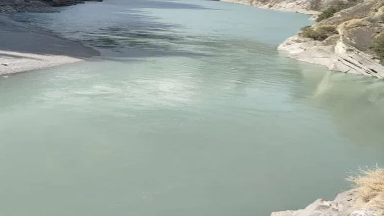 प्रतीकात्मक तस्वीर।