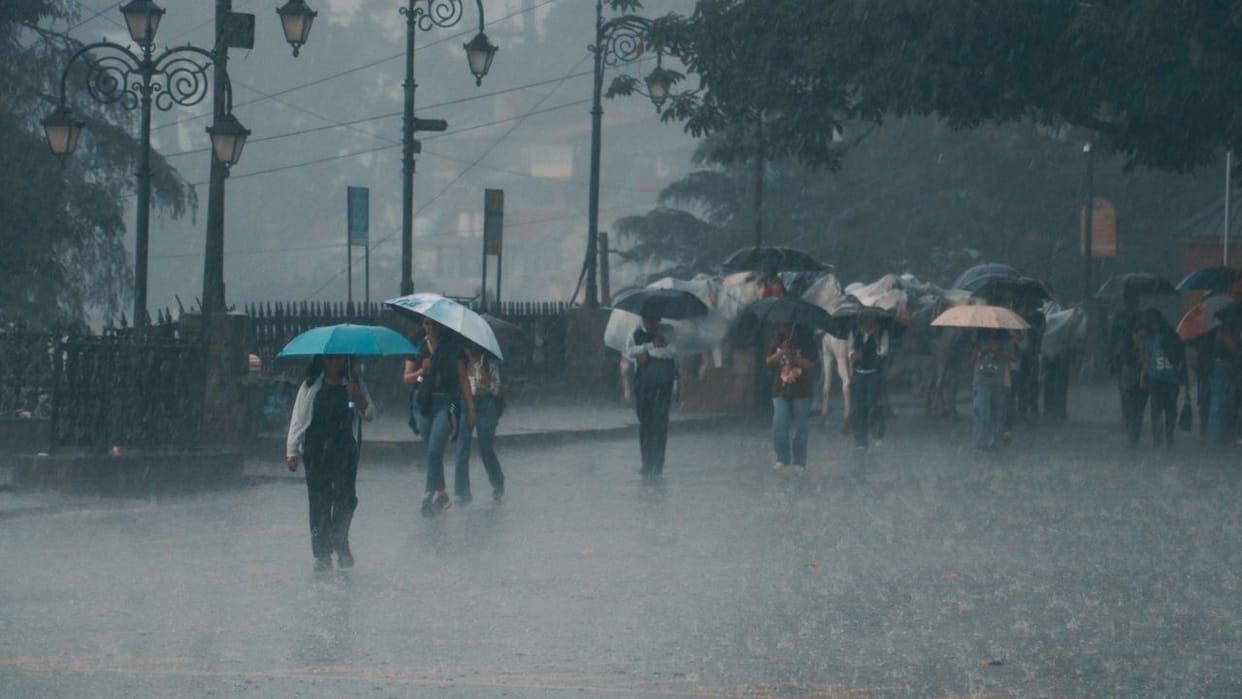 himachal weather rain hailstorm apple crop damage yellow alert june 2026