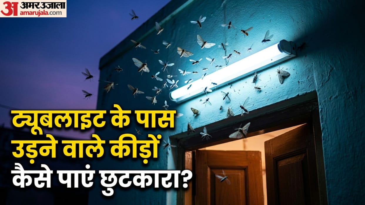 Tired of Flying Insects Around Your Tubelight? Try This Genius Glass Bowl Hack to Get Rid of Them