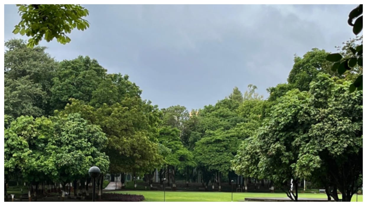 Aditi Garden Finding Peace and Greenery in an Urban Landscape