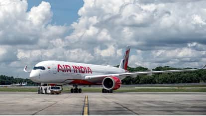 Major plane accident averted at Raipur airport, bird collides with Air India flight during landing