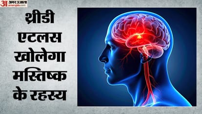 थ्रीडी एटलस खोलेगा मस्तिष्क के रहस्य (सांकेतिक तस्वीर)