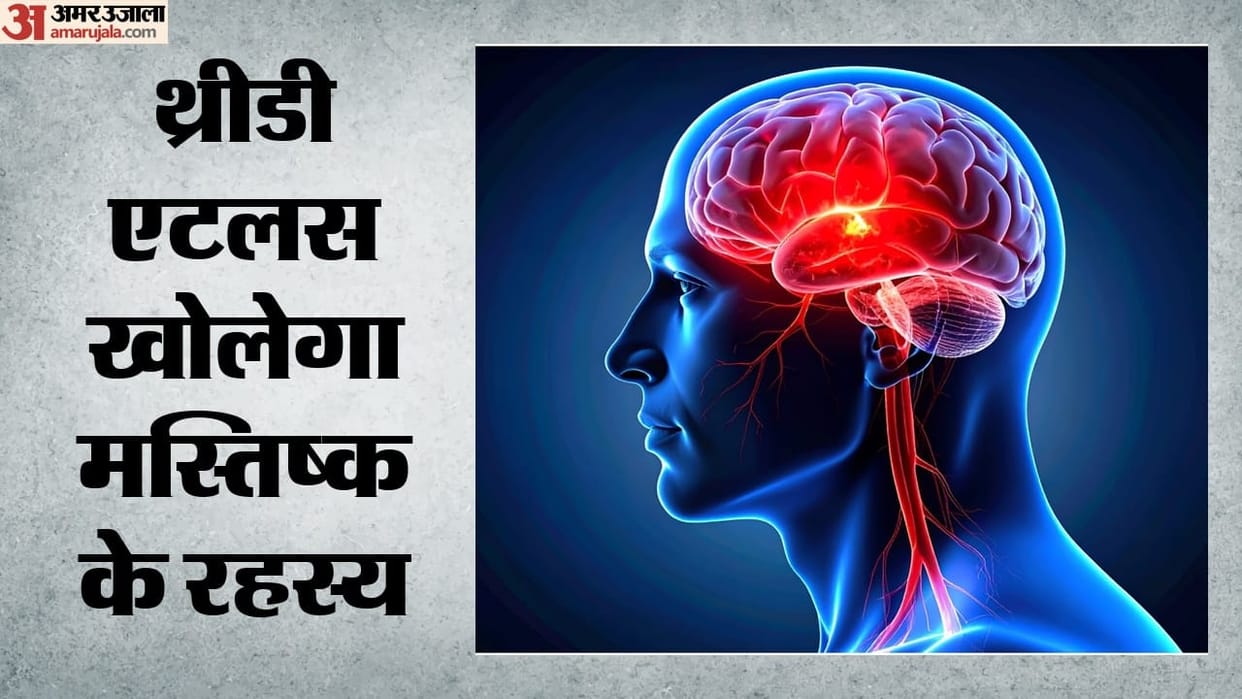 iit madras develops 3d human brainstem atlas anchor to understand neurological diseases