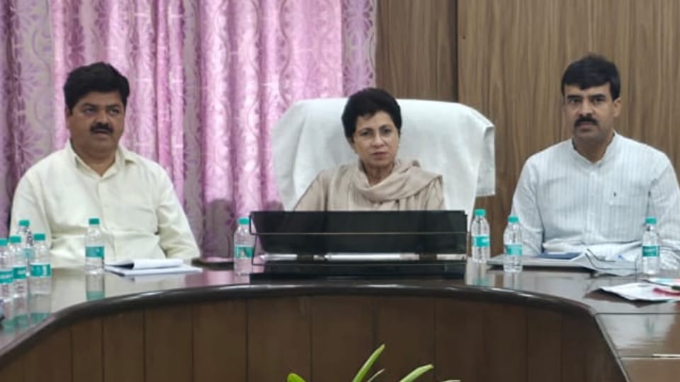 कुमारी सैलजा