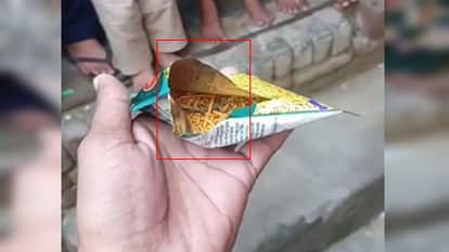 Meerut News: Dead Lizard Found in Snack Packet, Consumer Demands Probe