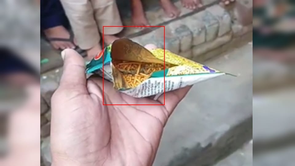 Meerut News: Dead Lizard Found in Snack Packet, Consumer Demands Probe