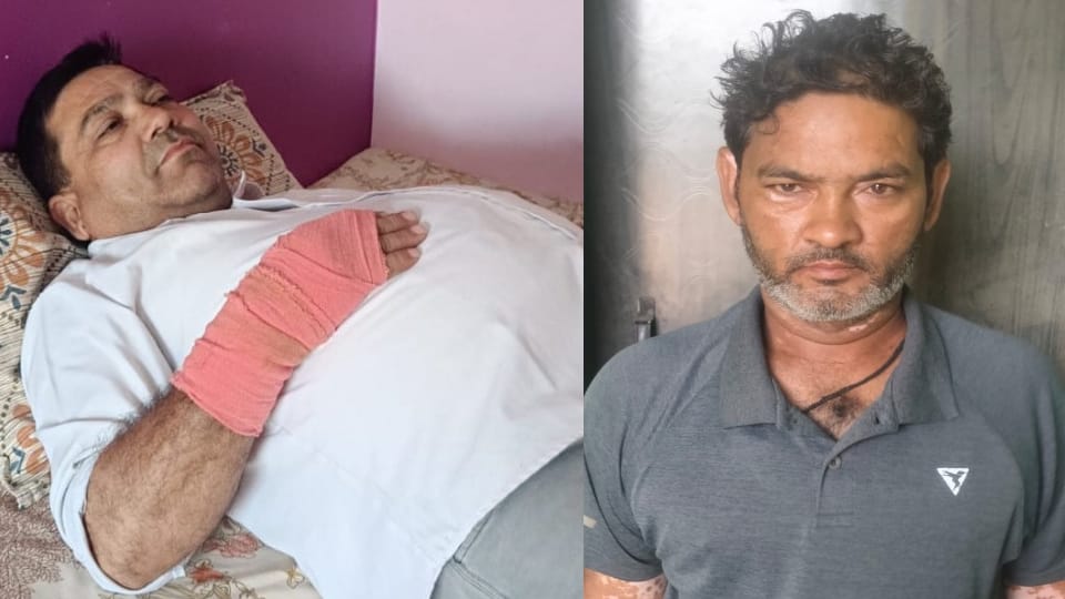 Baghpat: A bull injured seven people after ramming into them; it died of suffocation after being caught