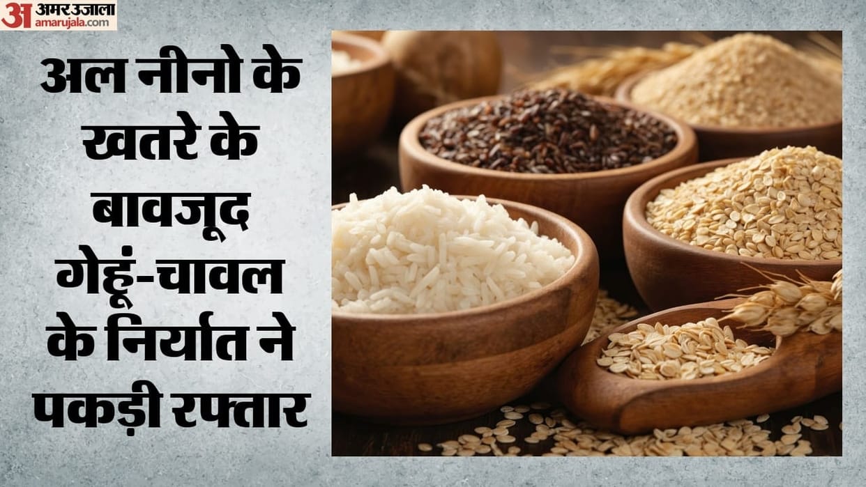 wheat rice export record stock in india after bumper production and procurement