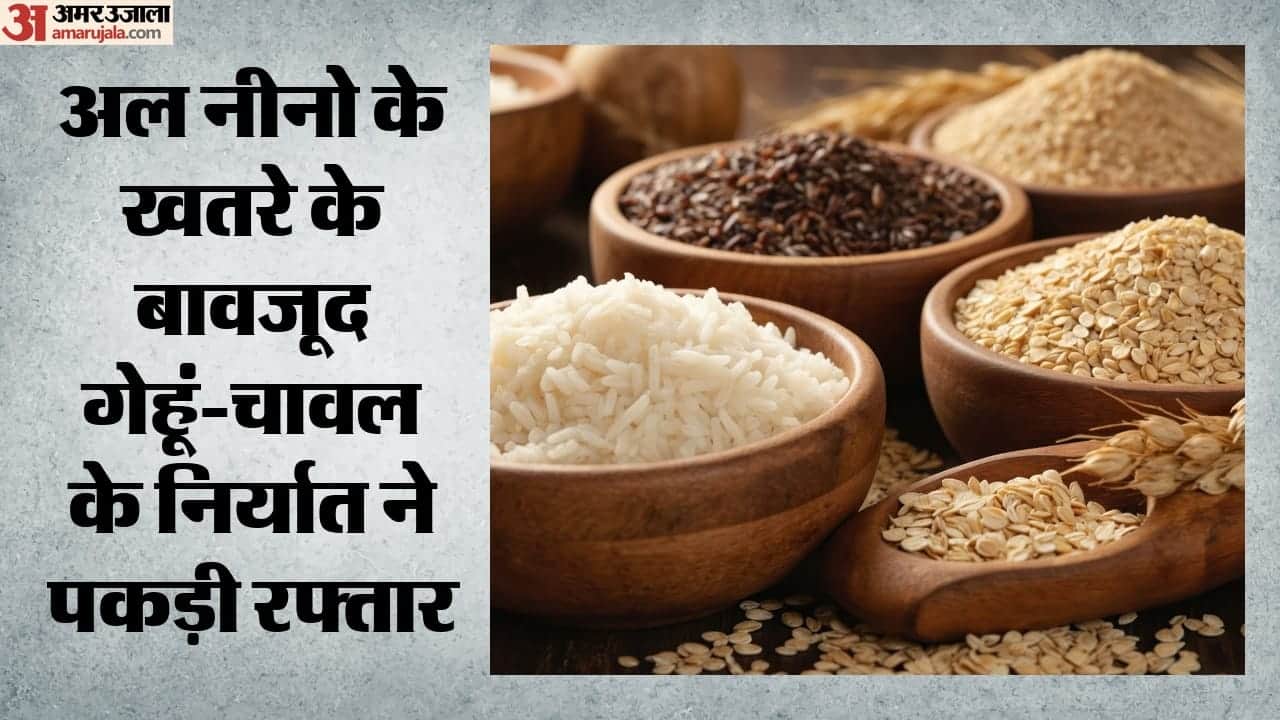 गेहूं-चावल (सांकेतिक तस्वीर)