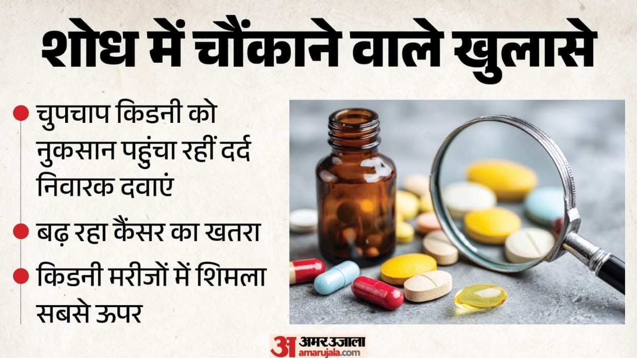 World Kidney Cancer Day: Painkillers silently damaging kidneys; cancer risk rising.