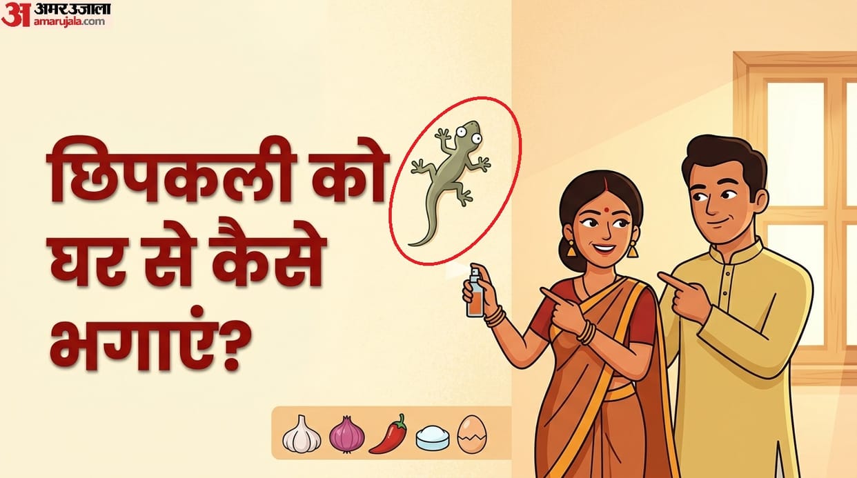 to get rid of lizards from the house Chipkali Bhagane Ke Tarike kya hai