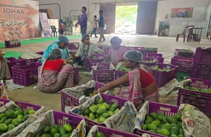 jharkhand-11-traditional-products-receive-gi-tag jharkhand-art-craft-products