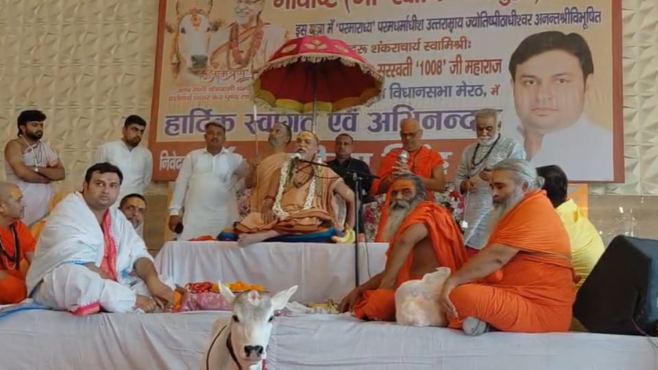 Shankaracharya Targets Government Over Cow Slaughter Law, Calls For Cow Protection