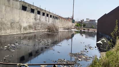 Pickle factory debris contaminates groundwater