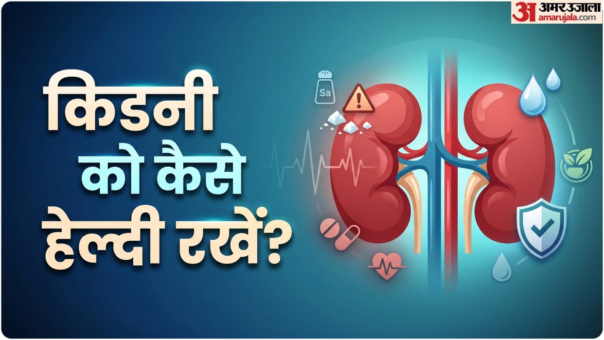 what to do if you have kidney disease know what precautions should be taken