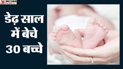 गिरोह के तार दिल्ली, हरियाणा, राजस्थान, मध्य प्रदेश और गुजरात से जुड़े हैं।