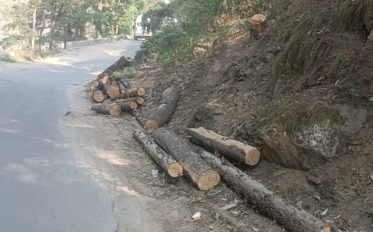 Badrinath Highway: जीरो बैंड से मारवाड़ी तक हाईवे चौड़ीकरण की तैयारी, पेड़ों का कटान शुरू, जाम से मिलेगी राहत