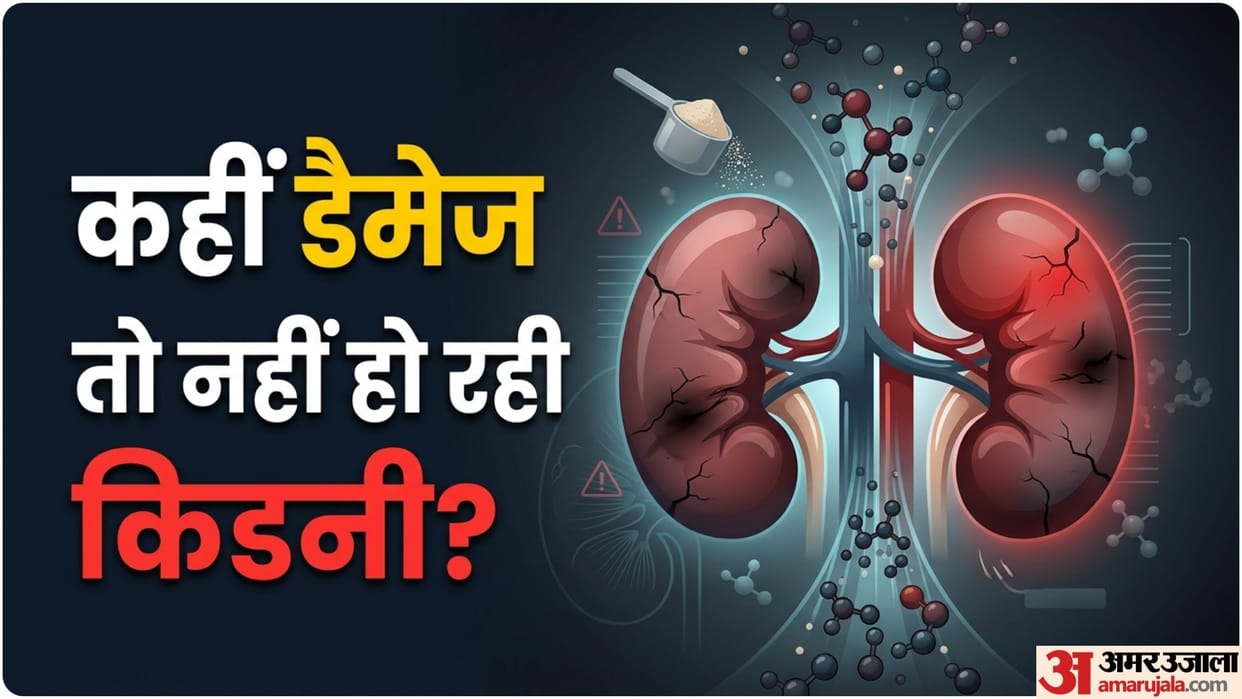 protein overdose health effects Consuming excessive protein damages kidney