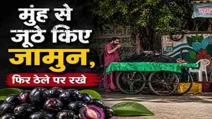 Meerut: Jamun Cart Video Goes Viral, Probe Demanded After 'Jamun Jihad' Remark