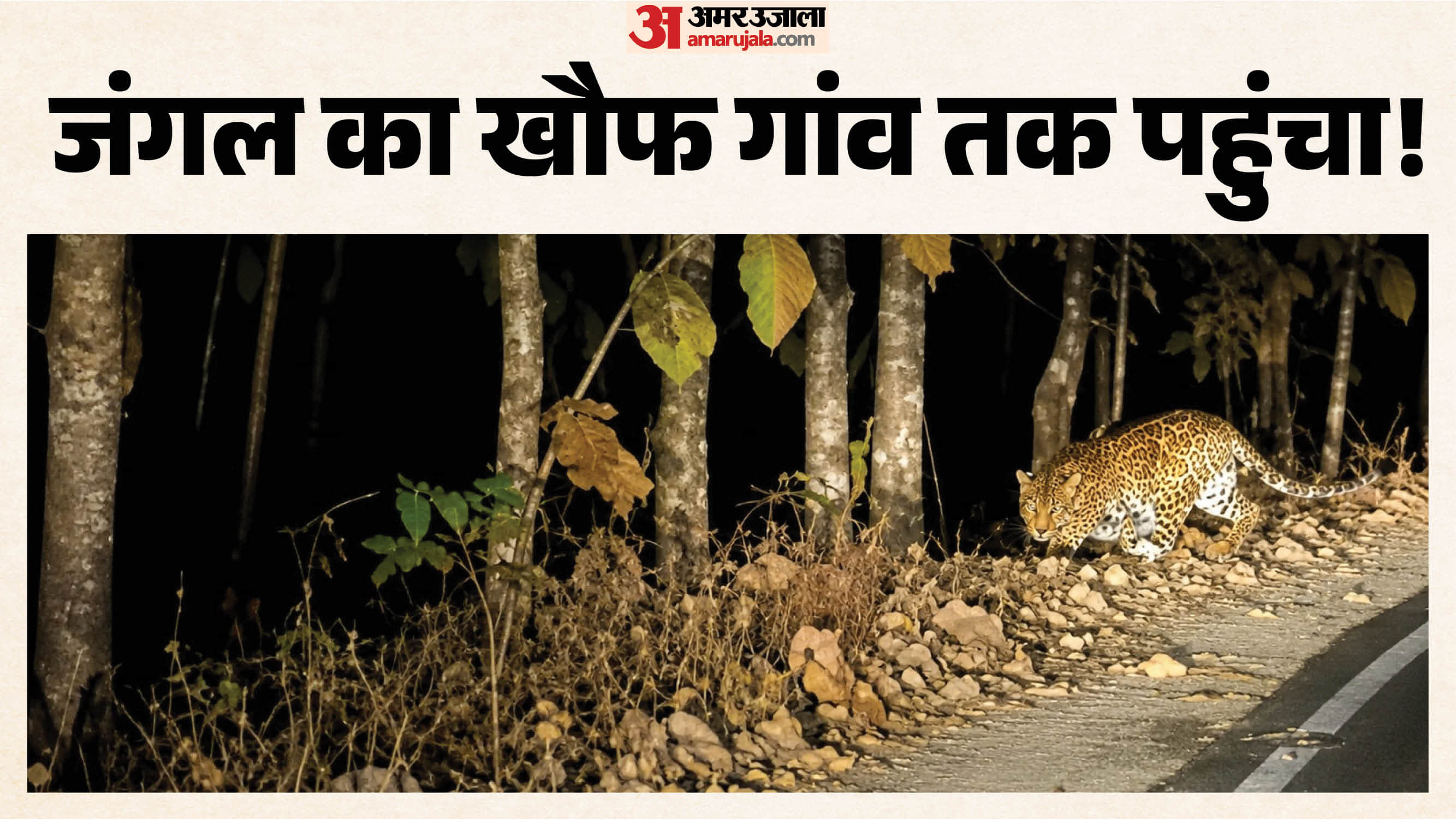 मध्य प्रदेश के दो जिलों में वन्यजीवों की दस्तक से बढ़ी चिंता