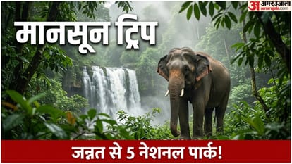 मानसून में इन नेशनल पार्क की सैर जाएं