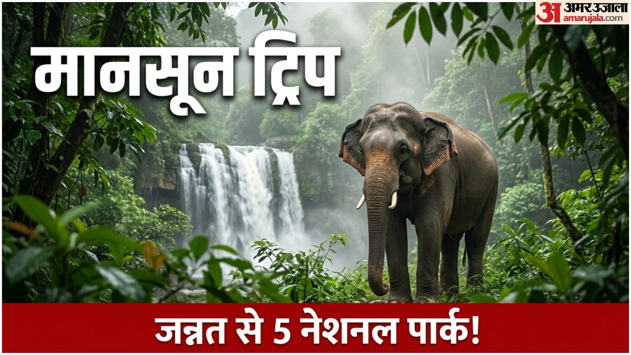Best National Parks To Visit In Monsoon Travel India