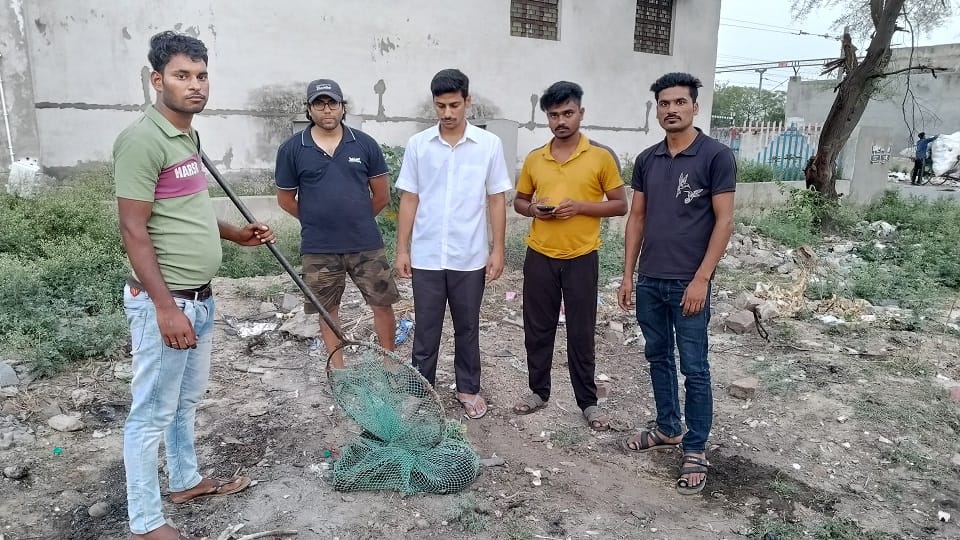 Meerut: A dog attacked and injured 15 passersby, including a young girl; locals beat it with sticks and threw