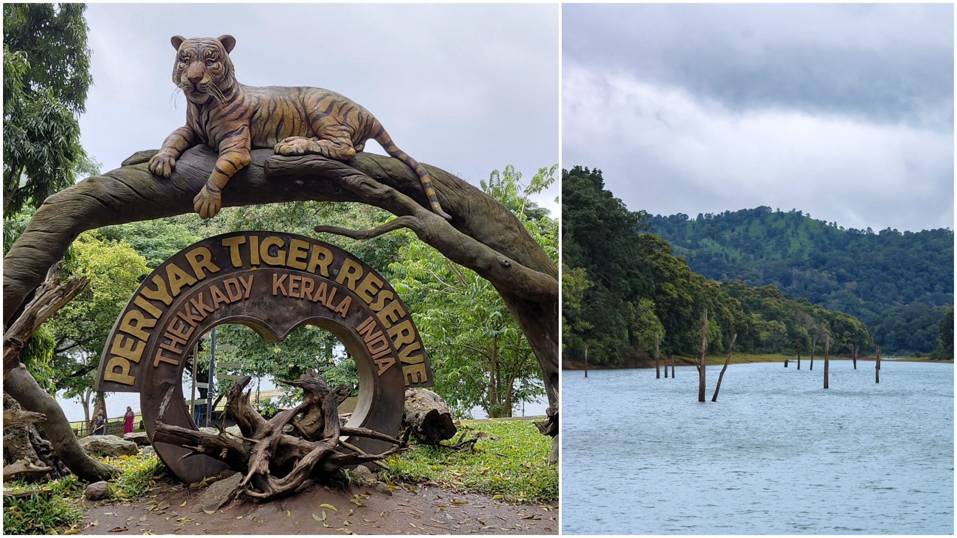Best National Parks To Visit In Monsoon Travel India